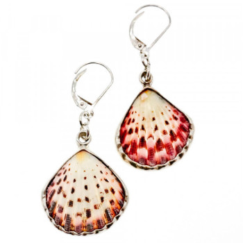 925 Sterling Silver Shells Earrings