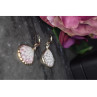 925 Sterling Silver Shells Earrings