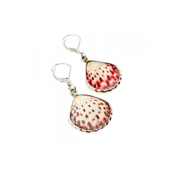 925 Sterling Silver Shells Earrings