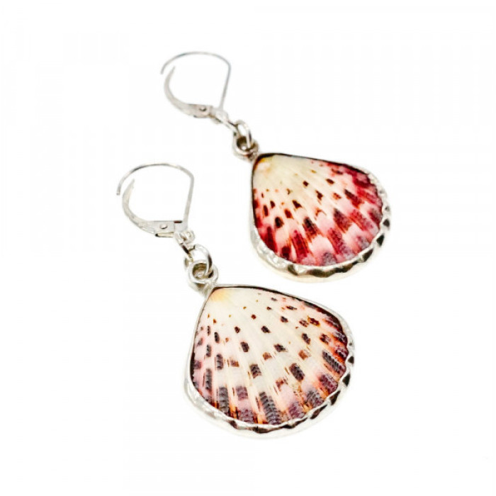 925 Sterling Silver Shells Earrings