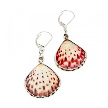 925 Sterling Silver Shells Earrings