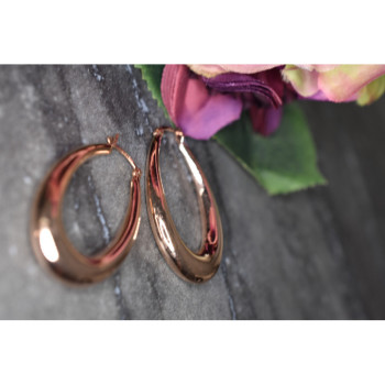 925 Sterling Silver Gold Plated Earrings