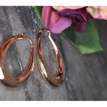 925 Sterling Silver Gold Plated Earrings