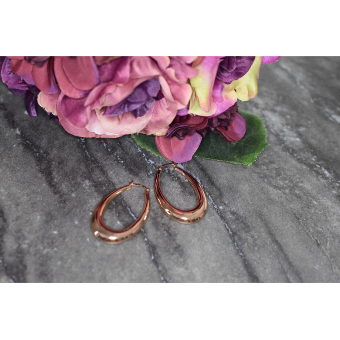 925 Sterling Silver Gold Plated Earrings