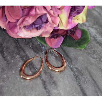 925 Sterling Silver Gold Plated Earrings