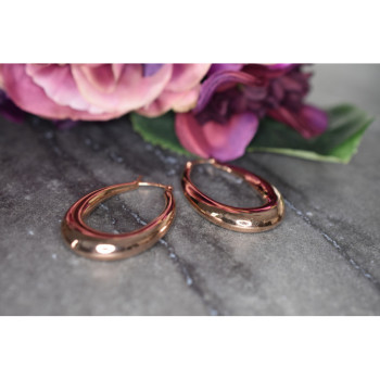 925 Sterling Silver Gold Plated Earrings