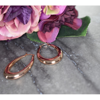 925 Sterling Silver Gold Plated Earrings