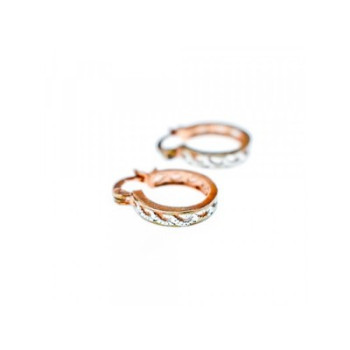 925 Sterling Silver Gold Plated Earrings