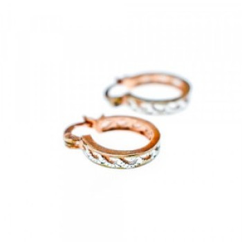 925 Sterling Silver Gold Plated Earrings