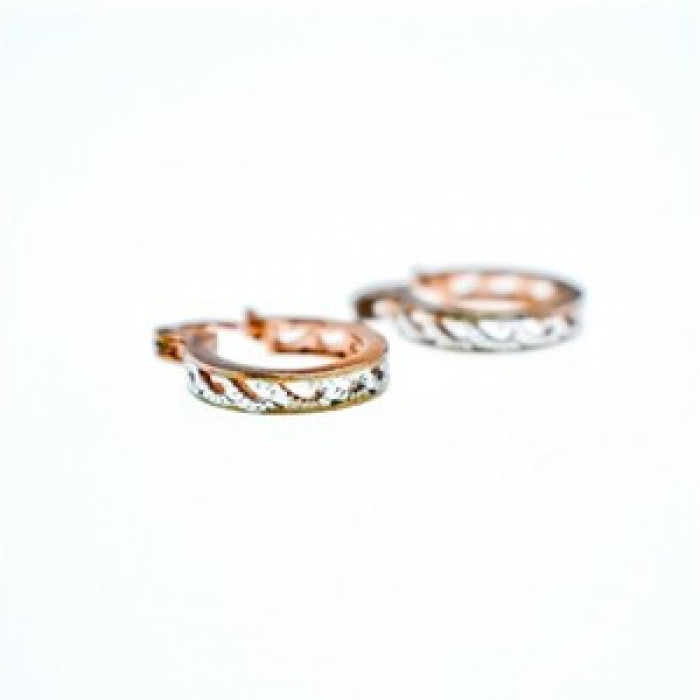 925 Sterling Silver Gold Plated Earrings