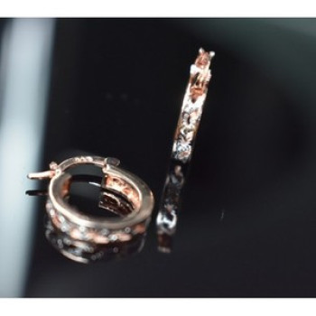 925 Sterling Silver Gold Plated Earrings