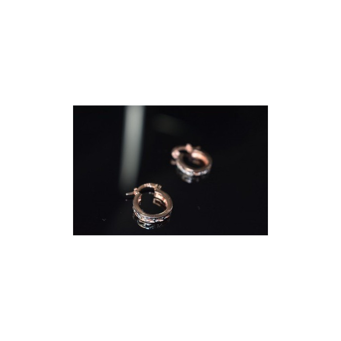 925 Sterling Silver Gold Plated Earrings