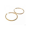 925 Sterling Silver Gold Plated (10k) Hoop Earrings