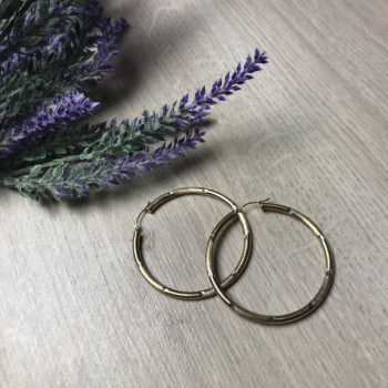 925 Sterling Silver Gold Plated (10K) Hoop Earrings
