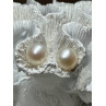 925 STERLING SILVER FRESH WATER PEARL EARRINGS LENGTH 0.5 Inch