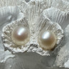925 Sterling Silver Fresh Water Pearl Earrings Length 0.5 Inch