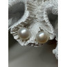 925 STERLING SILVER FRESH WATER PEARL EARRINGS LENGTH 0.5 Inch