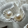 925 Sterling Silver Fresh Water Pearl Earrings Length 0.5 Inch