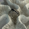 10K White Gold Sapphire & Diamond Ring Size 7