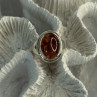 925 Sterling Silver Amber Ring Size 7