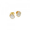 14K Yellow Gold White Opal Earrings