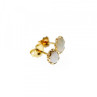 14K Yellow Gold White Opal Earrings