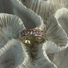 925 Sterling Silver Pink CZ Ring Size 9