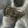 925 Sterling Silver Peridot, Amethyst & Topaz Ring Size 8