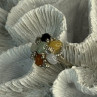 925 Sterling Silver 6 Colors Of Jade Flower Ring Size 8, 9