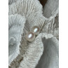 925 STERLING SILVER FRESH WATER PEARL EARRINGS LENGTH 0.35 Inch