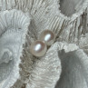925 Sterling Silver Fresh Water Pearl Earrings Length 0.35 Inch