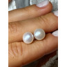 925 STERLING SILVER FRESH WATER PEARL EARRINGS LENGTH 0.35 Inch