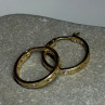 925 Sterling Silver Gold Plated CZ Earrings Length 21.5 Mm