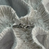 925 Sterling Silver CZ Heart Ring Size 8