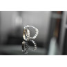 925 Sterling Silver CZ Earrings