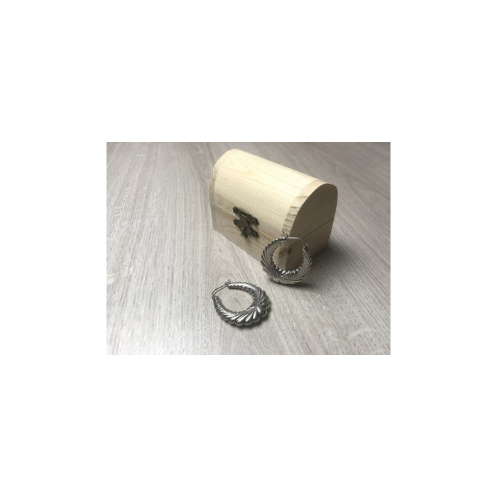 925 Sterling Silver Earrings