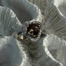 925 Sterling Silver Spinel & CZ Ring Size 7