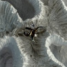 925 Sterling Silver Beryl Ring Size 7