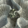 925 Sterling Silver Pale Green Amethyst Ring Size 7