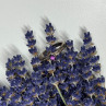 925 Sterling Silver Amethyst Ring Size 6