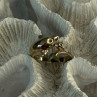 925 Sterling Silver Dolphin Ring Size 8