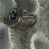14K White Gold Tanzanite & Diamond Ring Size 6