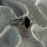 925 Sterling Silver Garnet & Beryl Ring Size 10