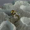 925 Sterling Silver Yellow & White Cz Ring Size 6
