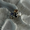 925 Sterling Silver Multi Color Tourmaline Ring Size 8