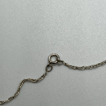 925 Sterling Silver Necklace