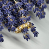 925 Sterling Silver Gold Plated Pearl Ring Size 6.5