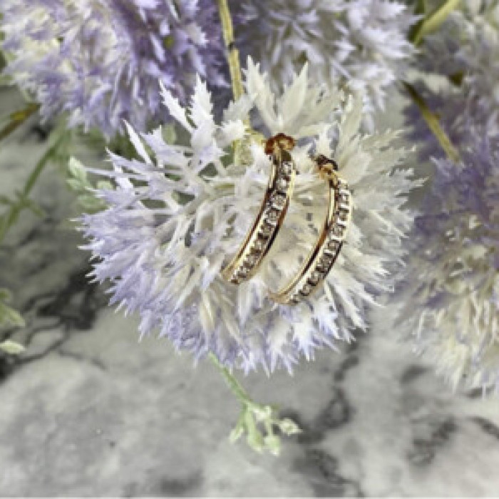 14K Yellow Gold Diamonds Earrings