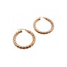 925 Sterling Silver Gold Plated Earrings