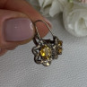 925 Sterling Silver Citrine Flower Earrings Length 1 Inch